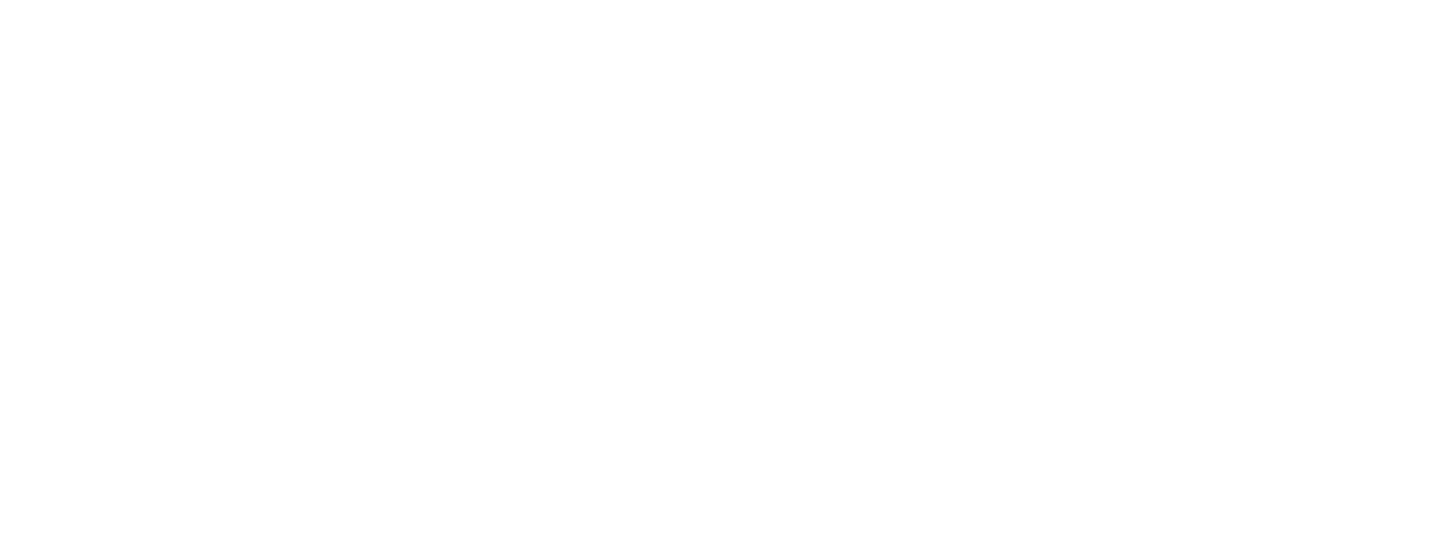 travel ball sports apparel logo trademarked final 01.02.2024 WHITE